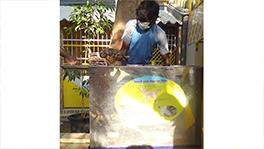 tick problem for dogs