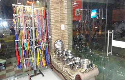 Dog boarding in chennai