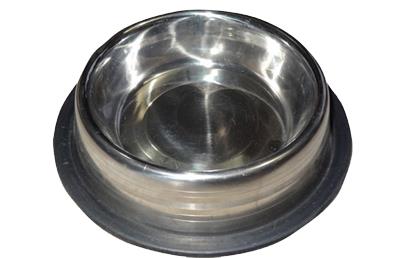 
                                      Hotel for dogs chennai