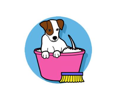 Dog boarding in chennai