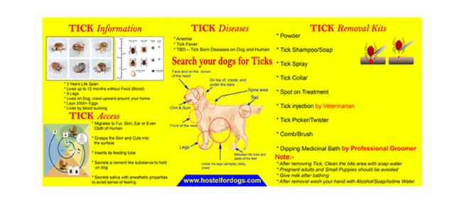 
Hotel for dogs chennai